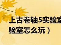 上古卷轴5实验室怎么玩别人（上古卷轴5实验室怎么玩）