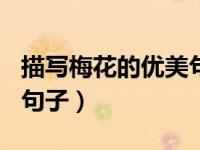 描写梅花的优美句子100字（描写梅花的优美句子）