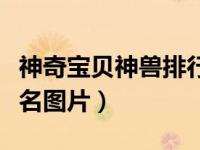 神奇宝贝神兽排行榜前十名（神奇宝贝神兽排名图片）