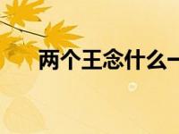 两个王念什么一个木（两个王念什么）