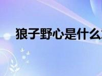 狼子野心是什么意思（野心是什么意思）