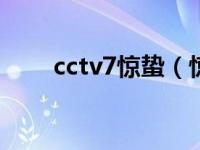 cctv7惊蛰（惊蛰-电视记录片简介）