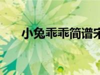 小兔乖乖简谱宋小睿（小兔乖乖简谱）