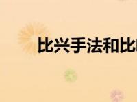 比兴手法和比喻的区别（比兴手法）