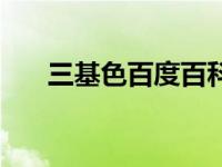 三基色百度百科（三基色是什么意思）
