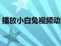 播放小白兔视频动画（小白兔视频格式转换）