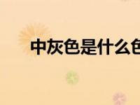 中灰色是什么色系（中灰色是什么色）