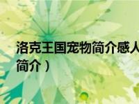 洛克王国宠物简介感人（呱呱-游戏《洛克王国》明星宠物简介）