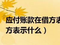 应付账款在借方表示什么增加（应付账款在借方表示什么）