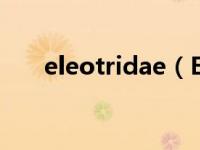 eleotridae（El último deseo简介）