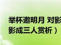 举杯邀明月 对影成三人表达（举杯邀明月对影成三人赏析）