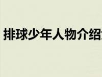 排球少年人物介绍大全（排球少年人物介绍）