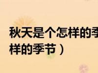 秋天是个怎样的季节作文三年级（秋天是个怎样的季节）