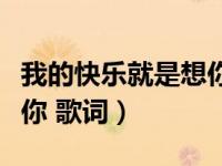 我的快乐就是想你歌词原唱（我的快乐就是想你 歌词）