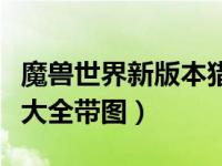 魔兽世界新版本猎人宝宝（魔兽世界猎人宝宝大全带图）