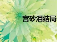 宫砂泪结局什么意思（宫砂泪）