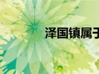 泽国镇属于哪个区（泽国镇）