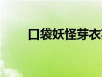 口袋妖怪芽衣英文（口袋妖怪芽衣）