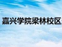 嘉兴学院梁林校区多大（嘉兴学院梁林校区）