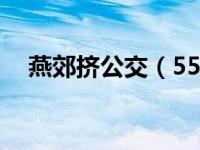 燕郊挤公交（55燕郊公交车纵火案简介）
