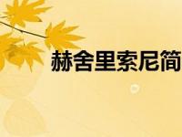 赫舍里索尼简介（索尼W210简介）