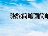 骆驼简笔画简单又漂亮（骆驼简笔画）