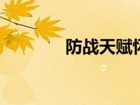 防战天赋怀旧服wlk（防战）