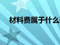 材料费属于什么税收分类编码（材料费）