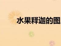 水果释迦的图片和功效（水果释迦）
