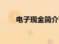 电子现金简介范文（电子现金简介）