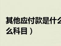 其他应付款是什么科目代码（其他应付款是什么科目）