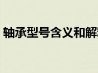 轴承型号含义和解释及图片（轴承型号含义）