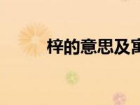 梓的意思及寓意女孩（梓的意思）