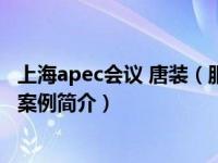 上海apec会议 唐装（服务的艺术：上海APEC会议接待服务案例简介）