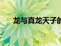 龙与真龙天子的故事（龙与真龙天子）