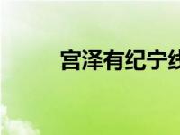 宫泽有纪宁线攻略（宫泽有纪宁）