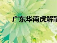 广东华南虎解散（广东华南虎俱乐部）