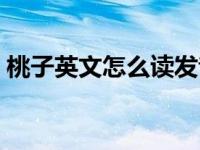 桃子英文怎么读发音中文（桃子英文怎么读）