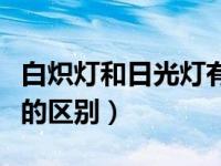 白炽灯和日光灯有什么区别（白炽灯和日光灯的区别）