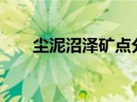 尘泥沼泽矿点分布（尘泥沼泽a怪点）