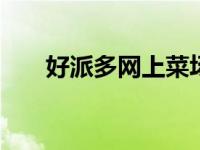 好派多网上菜场app（好派X10简介）