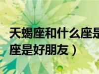 天蝎座和什么座是最好的朋友（天蝎座和什么座是好朋友）