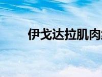 伊戈达拉肌肉线条（伊戈达拉肌肉）