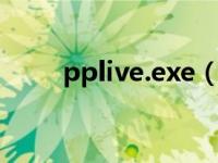 pplive.exe（PPLive V1.6.6简介）