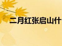 二月红张启山什么关系（二月红张启山）