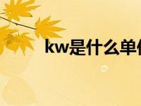 kw是什么单位（mw是什么单位）