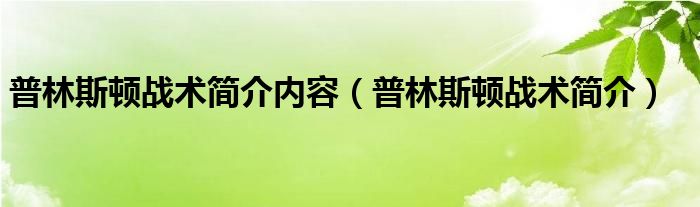 普林斯顿战术简介内容（普林斯顿战术简介）