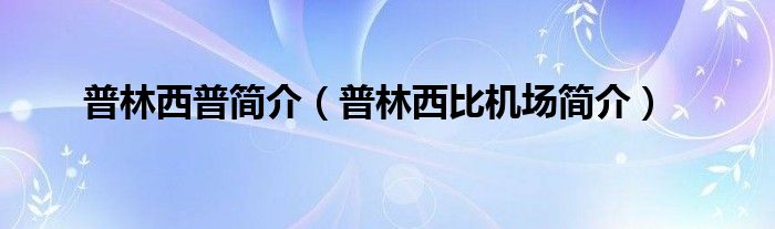 普林西普简介（普林西比机场简介）