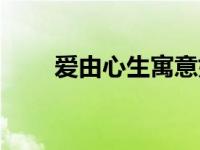 爱由心生寓意如何（爱由心生简介）