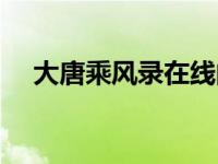 大唐乘风录在线阅读（大唐乘风录简介）